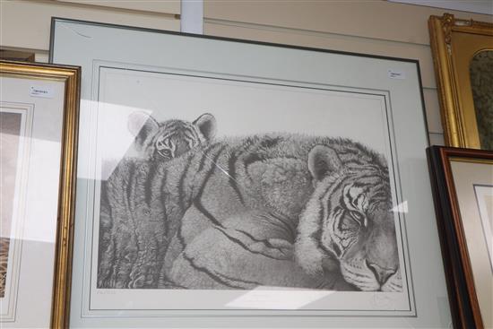 Gary Hodges (b. 1954), Pride and Joy, limited edition print, signed and numbered 716/1250 and three other prints of big cats